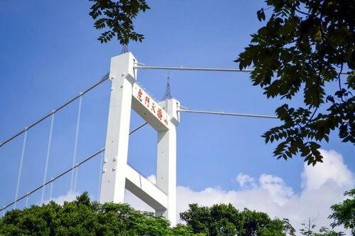 老虎门大桥爆料视频最新,最新爆料视频曝光惊人真相  第2张